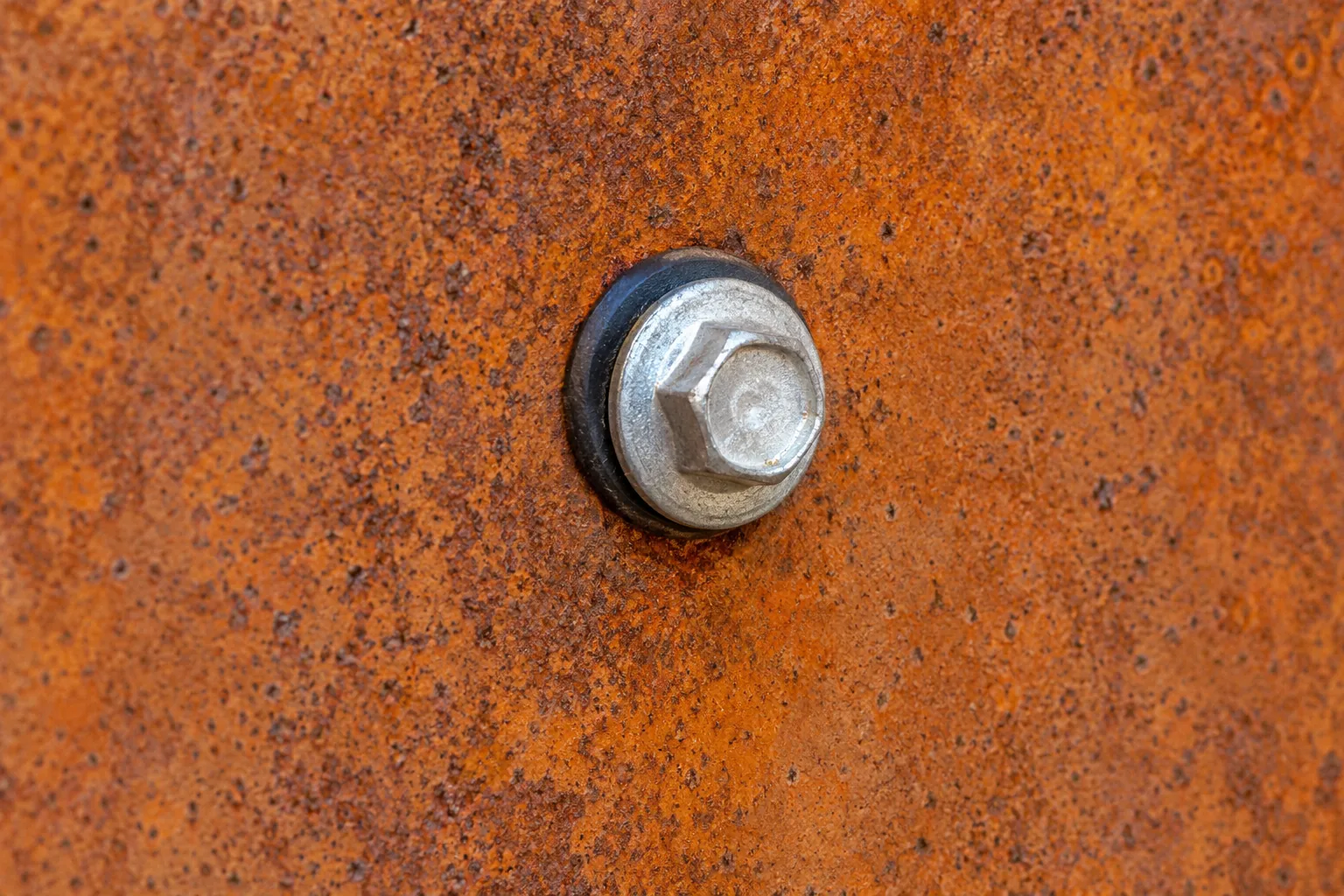 Silver screw head with a black gasket on an orange-brown steel panel